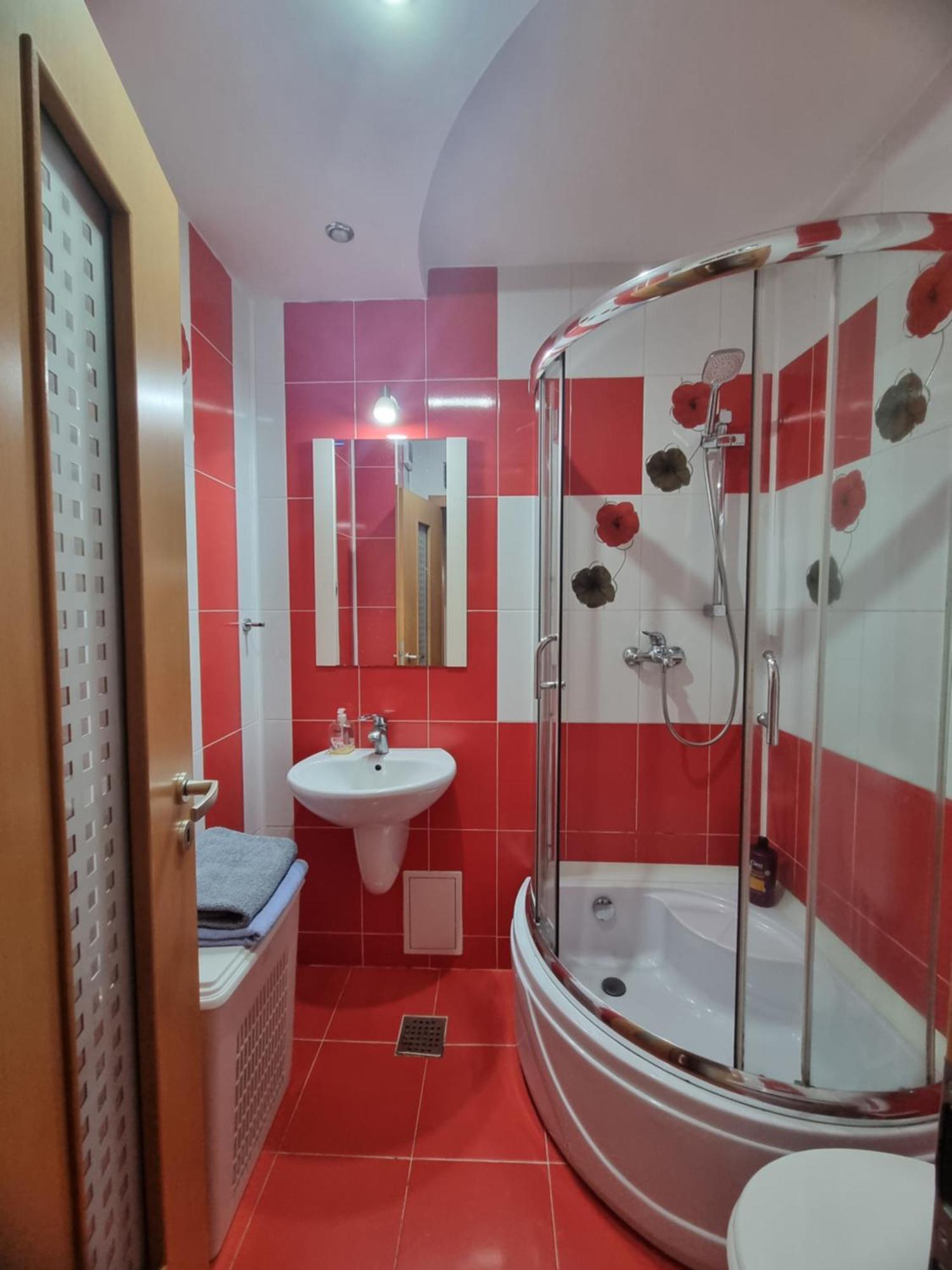 Nice & Relaxing Central Apartment Baia Mare Buitenkant foto