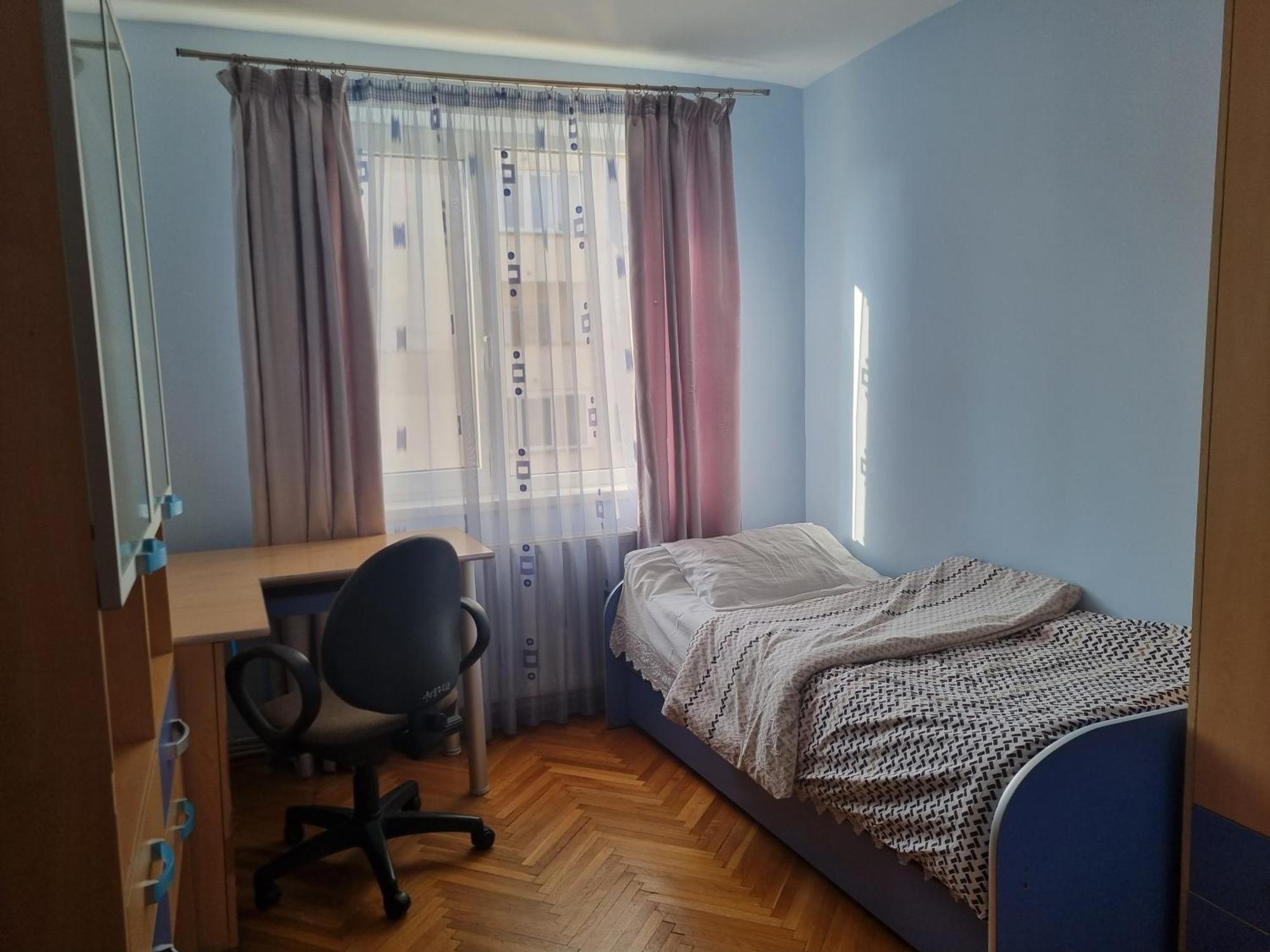 Nice & Relaxing Central Apartment Baia Mare Buitenkant foto
