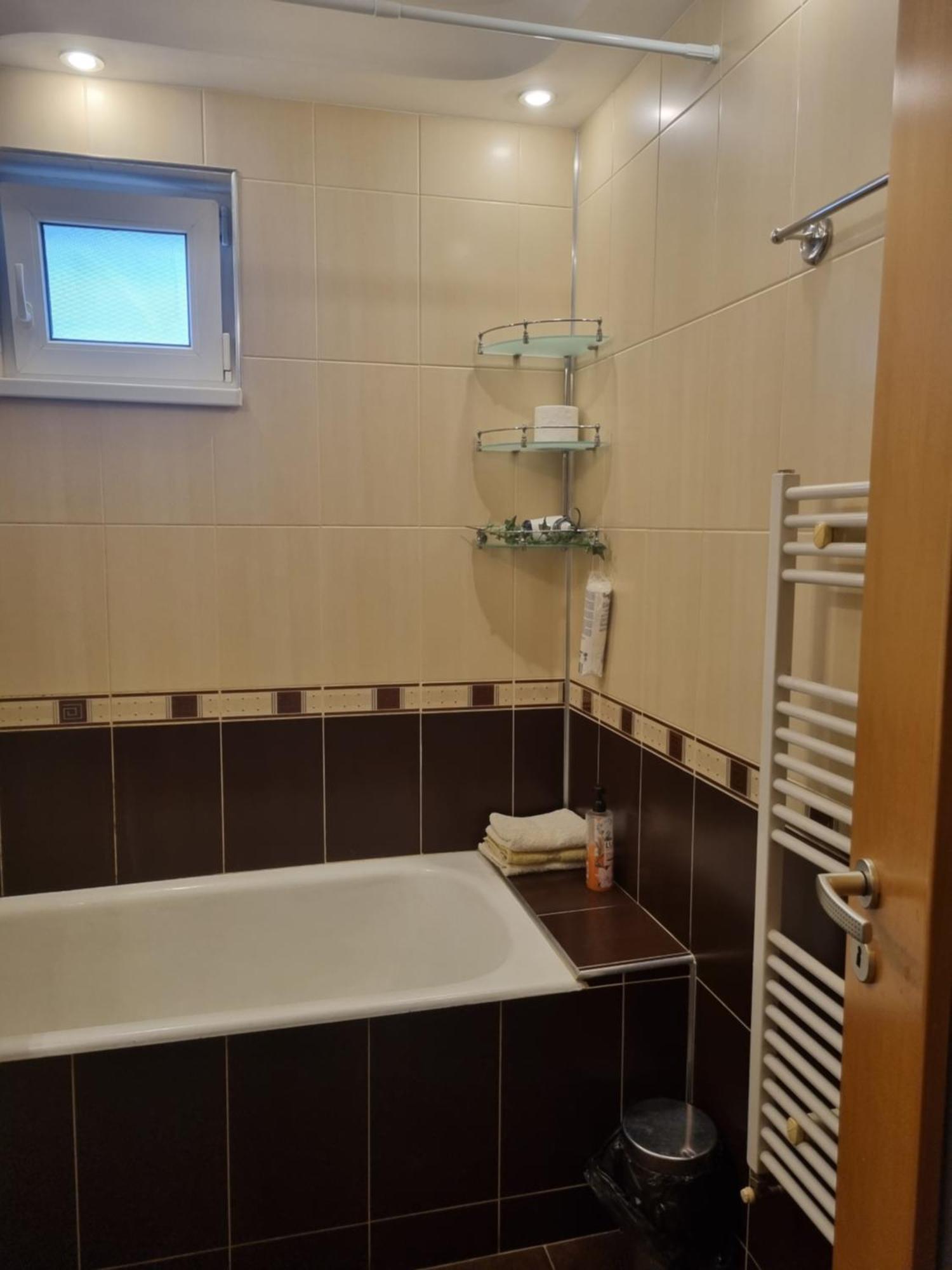 Nice & Relaxing Central Apartment Baia Mare Buitenkant foto